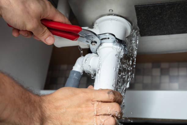 Best Basement water damage restoration  in Bogata, TX