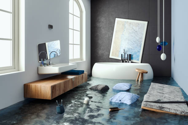 Best Professional water damage repair  in Bogata, TX