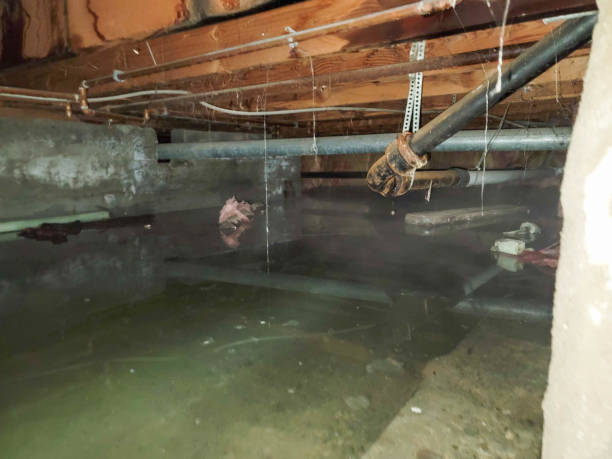 Sewage cleanup and water damage restoration in Bogata, TX