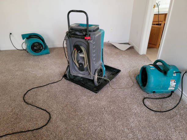 Best 24-hour water damage restoration  in Bogata, TX