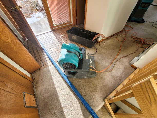 Best Flood damage cleanup  in Bogata, TX