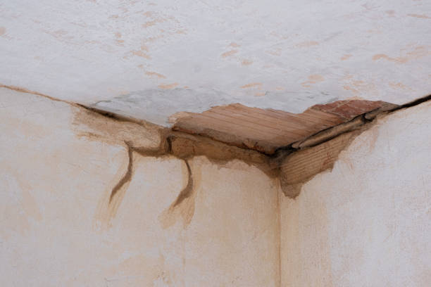 Fire Damage Restoration in Bogata, TX
