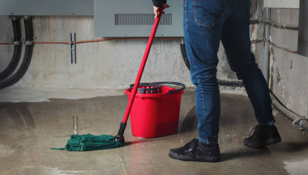 Best Ceiling water damage repair  in Bogata, TX