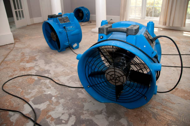 Best Sewage cleanup and water damage restoration  in Bogata, TX