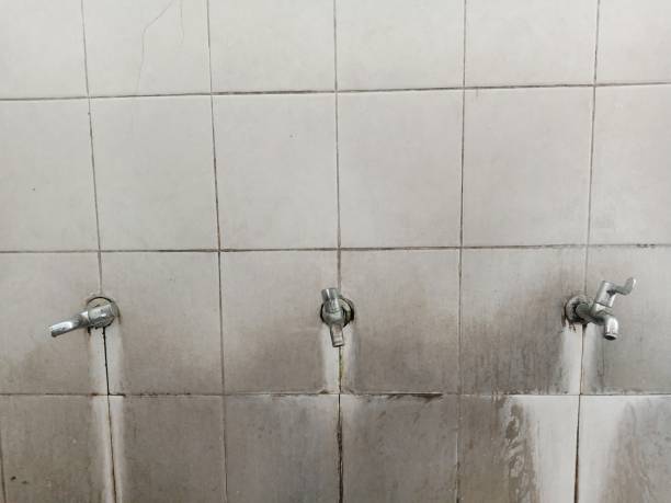 Best Fire Damage Restoration  in Bogata, TX