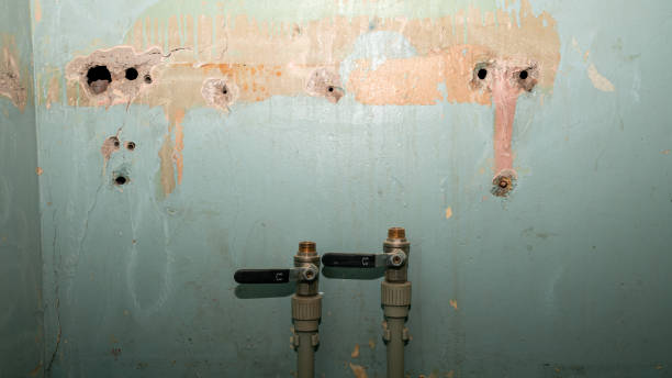 Best Local water damage restoration  in Bogata, TX