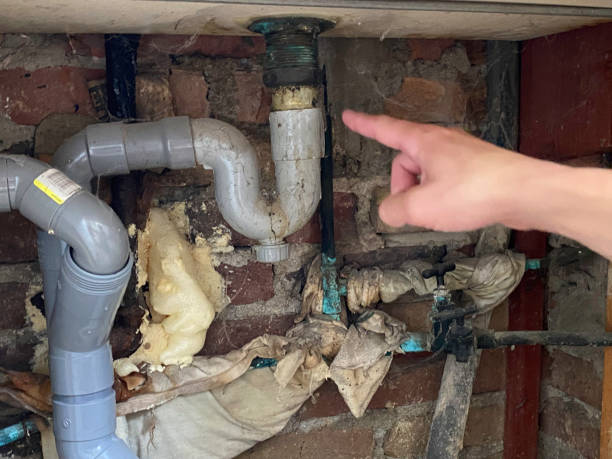 Best Water damage restoration near me  in Bogata, TX