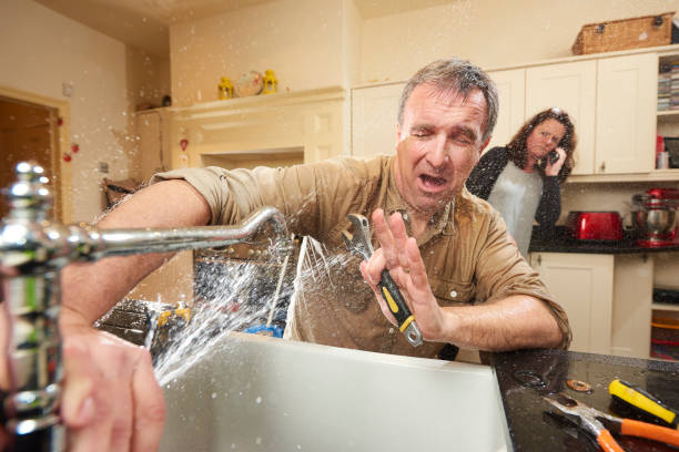 Best Mold removal after water damage  in Bogata, TX